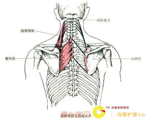 ��ʵ�٤ح�����״���ε�������ɡ��ĳ�򣡣��������٤������
