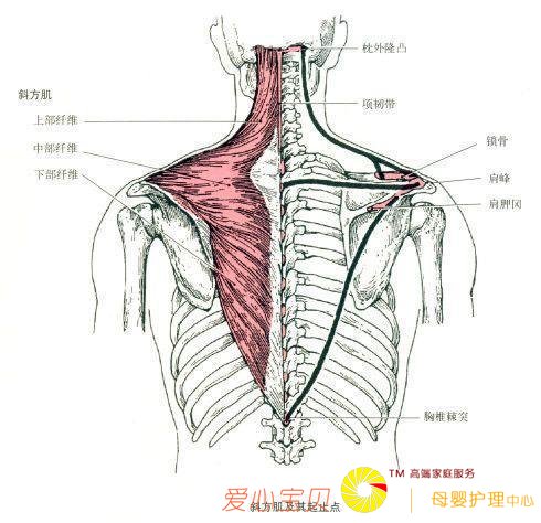 ��ʵ�٤ح�����״���ε�������ɡ��ĳ�򣡣��������٤������