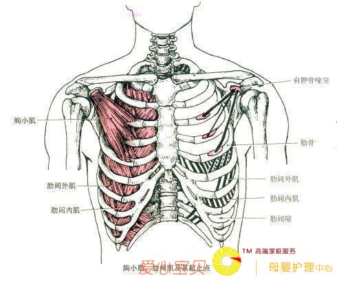 ��ʵ�٤ح�����״���ε�������ɡ��ĳ�򣡣��������٤������