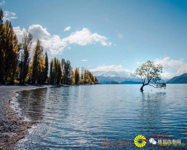 �����ܱ���491/494ǩ֤�ֳ��¹棬���ô���ʡ�ٷ����롭��