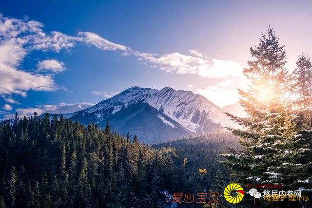 �����ܱ���491/494ǩ֤�ֳ��¹棬���ô���ʡ�ٷ����롭��