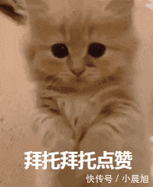 t01c5cb0cc5744404e1.gif?size=218x265