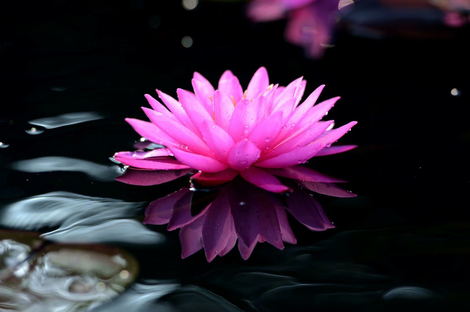 除瞋因诗言慧语之入菩萨行